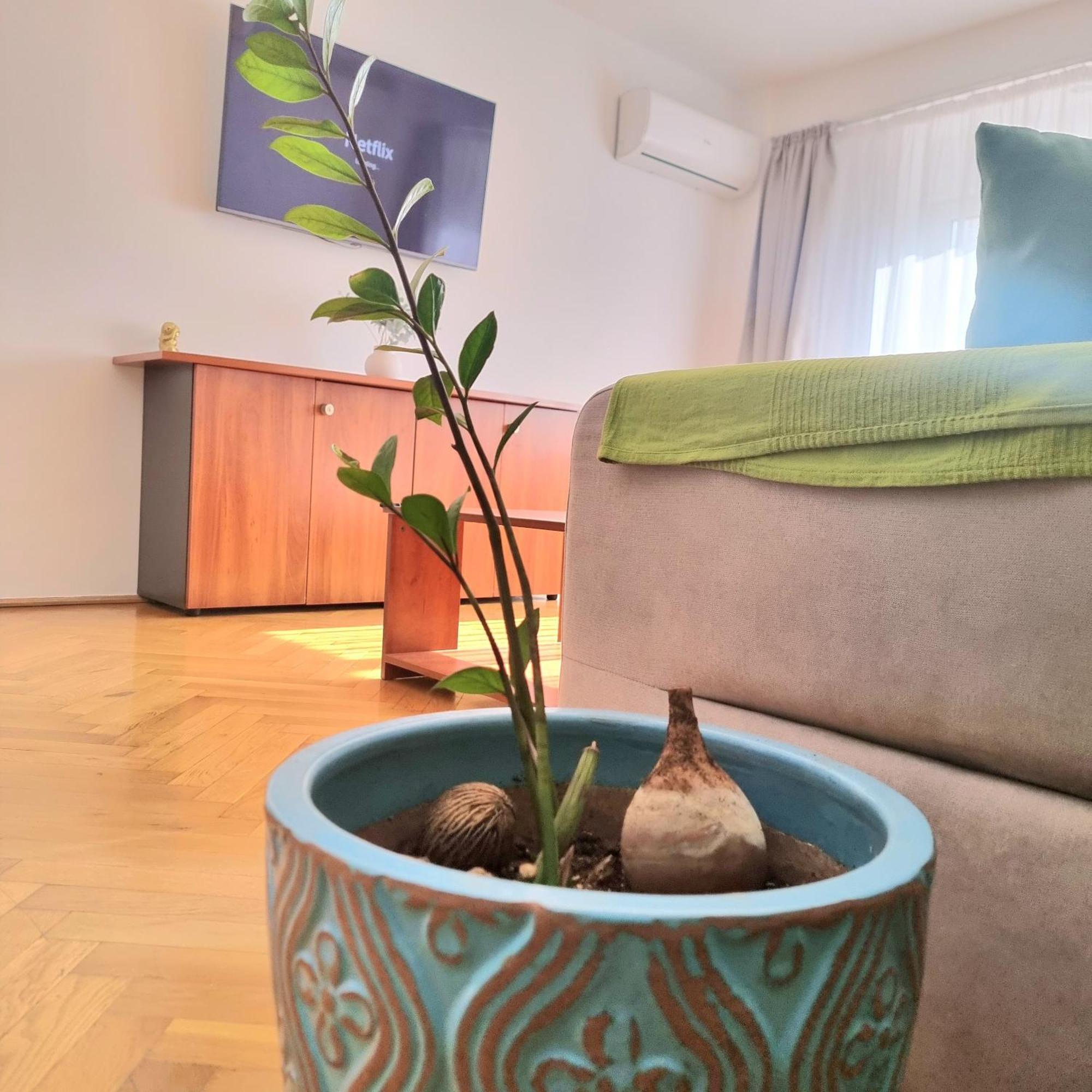 Tranquil Unirii Residence - Elegant & Spacious Living With Parking Steps From Parliament Bucharest Luaran gambar
